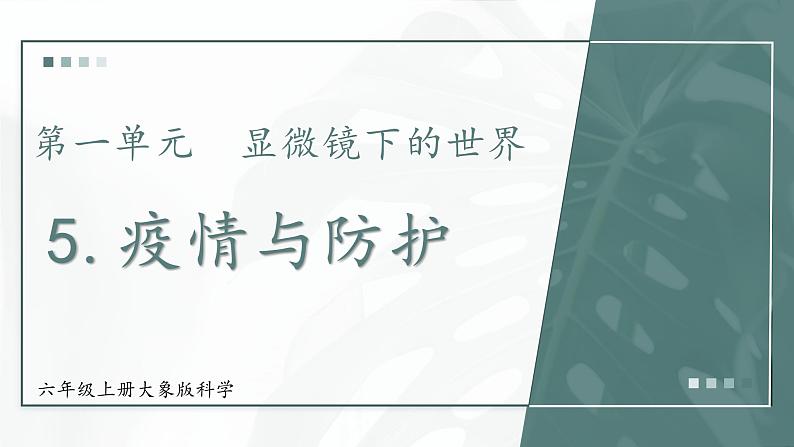 大象版科学六年级上册 1.5 疫情与防护 教学课件+同步练习01