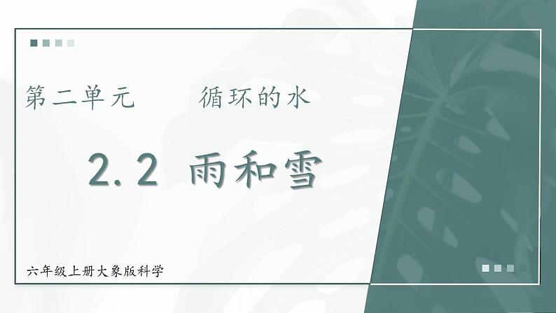 大象版科学六年级上册 2.2 雨和雪 教学课件+同步练习01