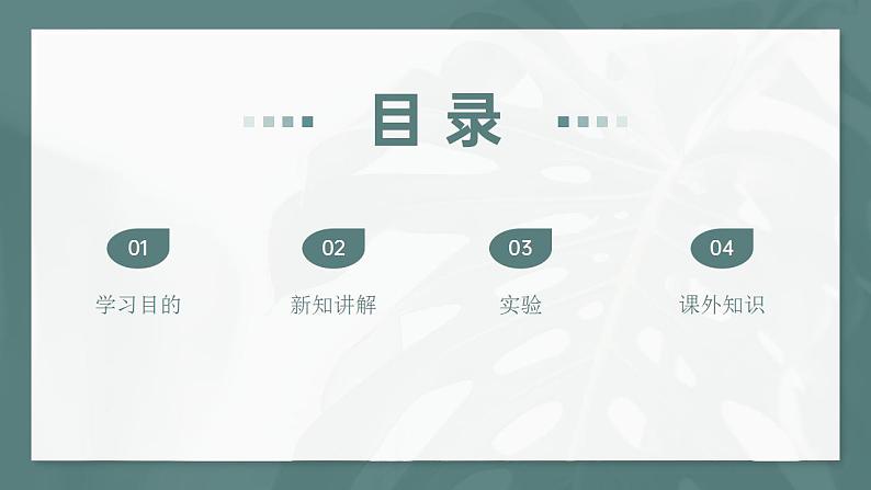大象版科学六年级上册 2.2 雨和雪 教学课件+同步练习02
