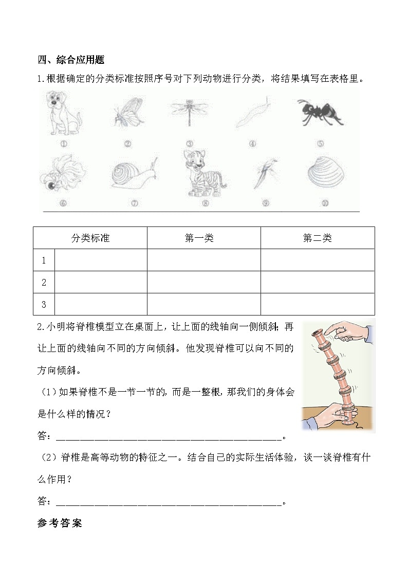 苏教版科学四年级上册 1.1给动物分类 同步练习第2页