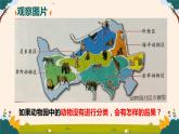 苏教版科学四年级上册 1.1给动物分类 课件+教案+同步练习