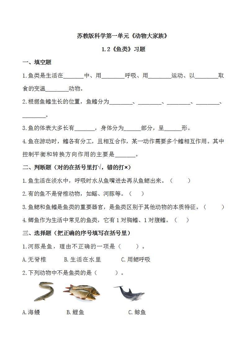 苏教版科学四年级上册 1.2鱼类 课件+教案+同步练习01