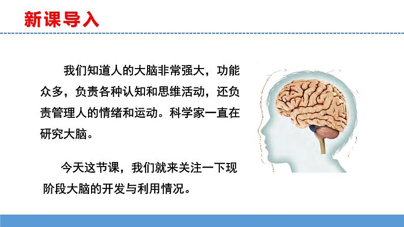 苏教版小学科学五上第五单元《20 大脑的开发与利用》课件PPT+教案+视频素材03