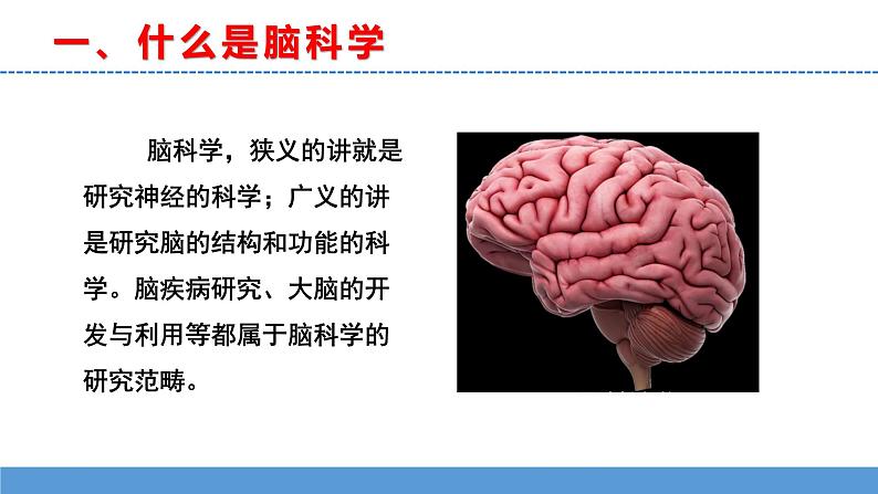 苏教版小学科学五上第五单元《20 大脑的开发与利用》课件PPT+教案+视频素材04