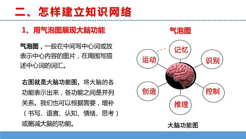 苏教版小学科学五上第五单元《20 大脑的开发与利用》课件PPT+教案+视频素材06