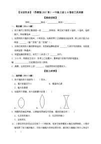 小学科学苏教版 (2017)一年级上册6.借助工具观察优秀同步练习题