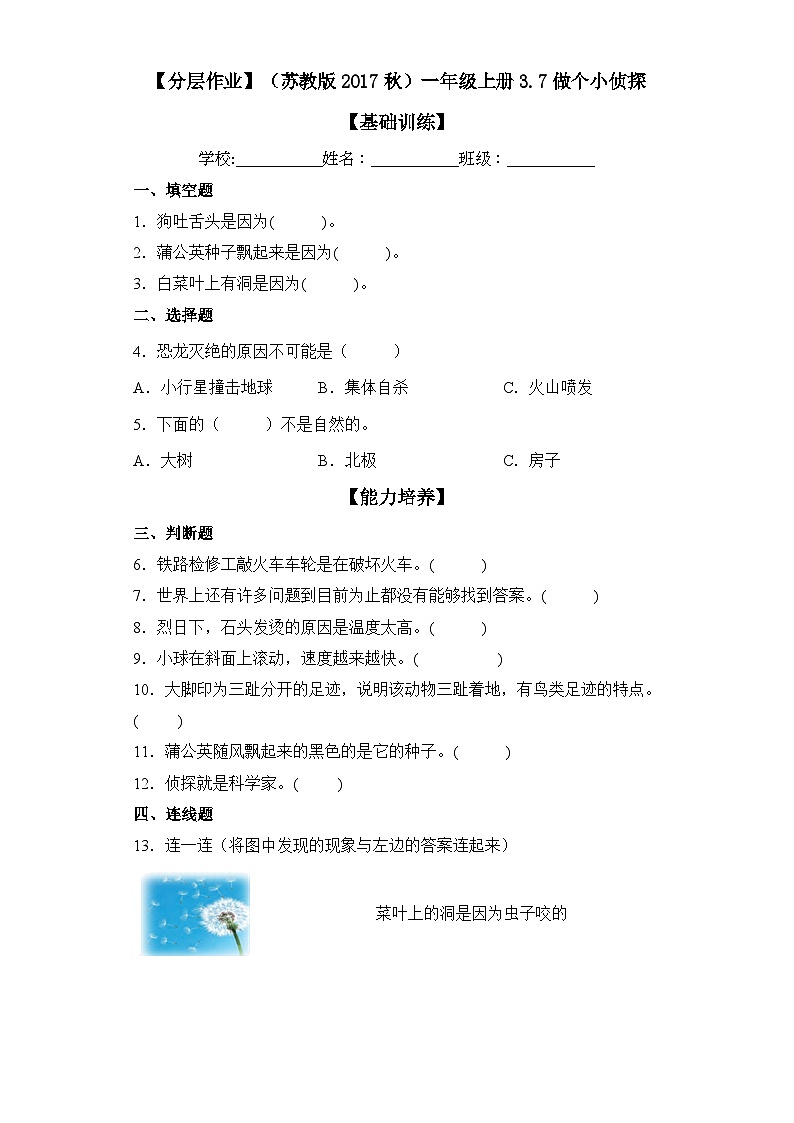 【分层练习】苏教版(2017)科学一年级上册--3.7做个小侦探  练习（含解析）第1页