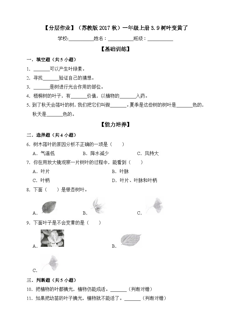 【分层练习】苏教版(2017)科学一年级上册--3.9树叶变黄了  练习（含解析）01