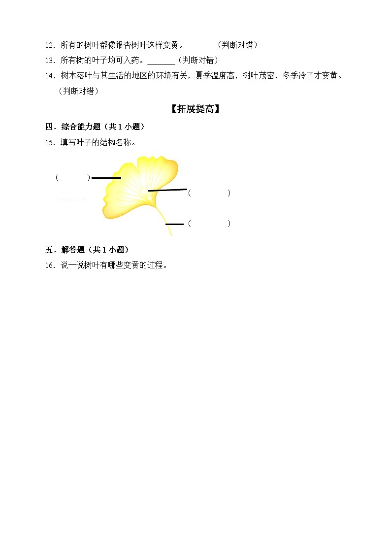 【分层练习】苏教版(2017)科学一年级上册--3.9树叶变黄了  练习（含解析）02