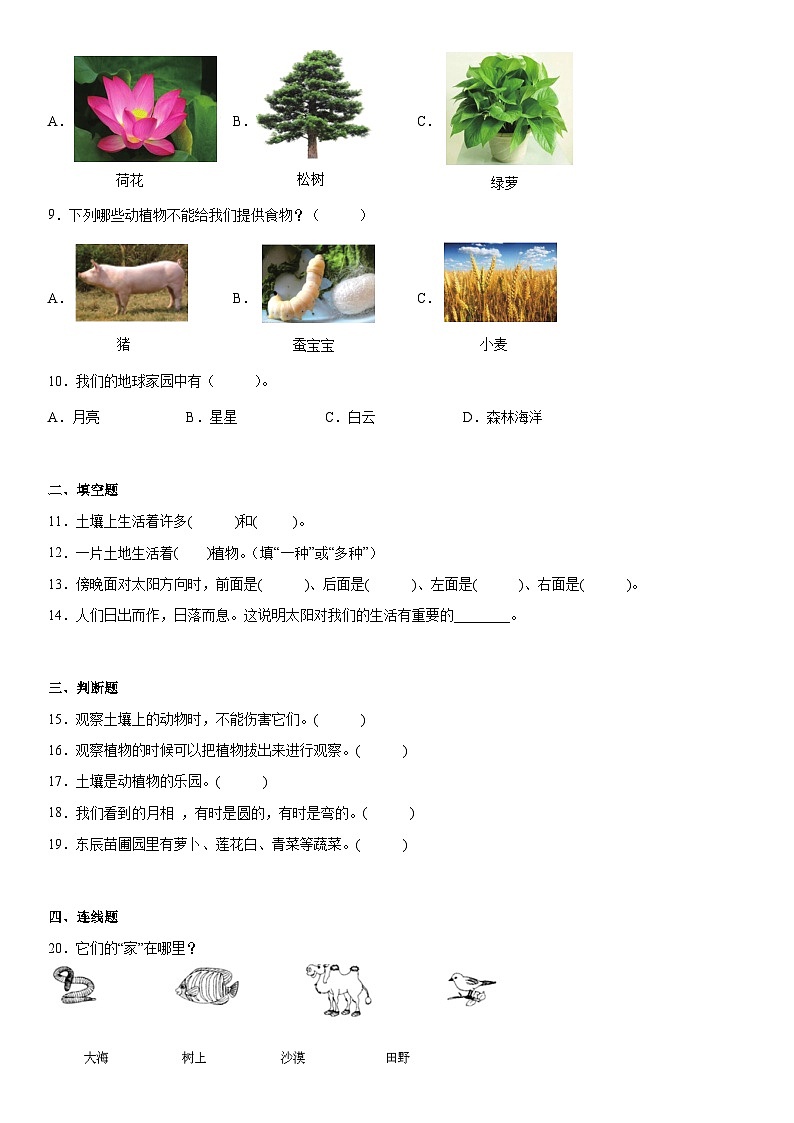 【单元测试】教科版(2017)科学二年级上册--第一单元《我们的地球家园》测试卷B02