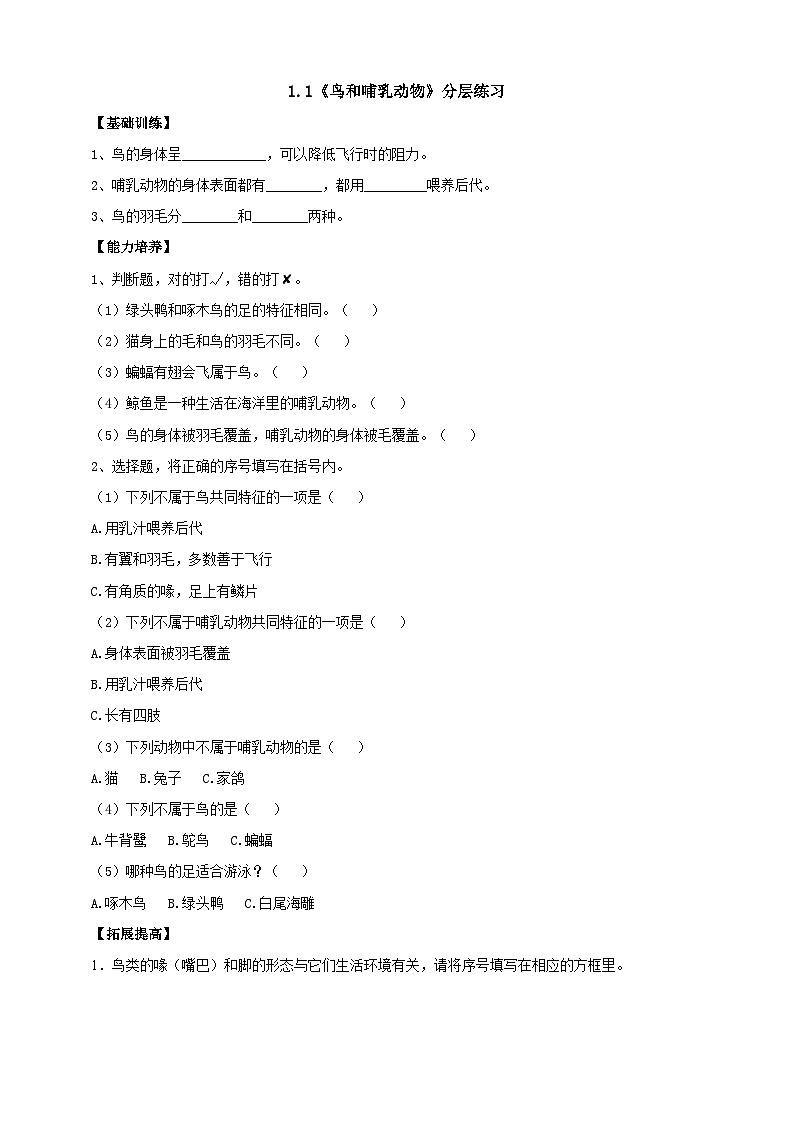 【同步分层练习】人教鄂教版科学四年级上册--1.1《鸟和哺乳动物》分层练习（含答案）01