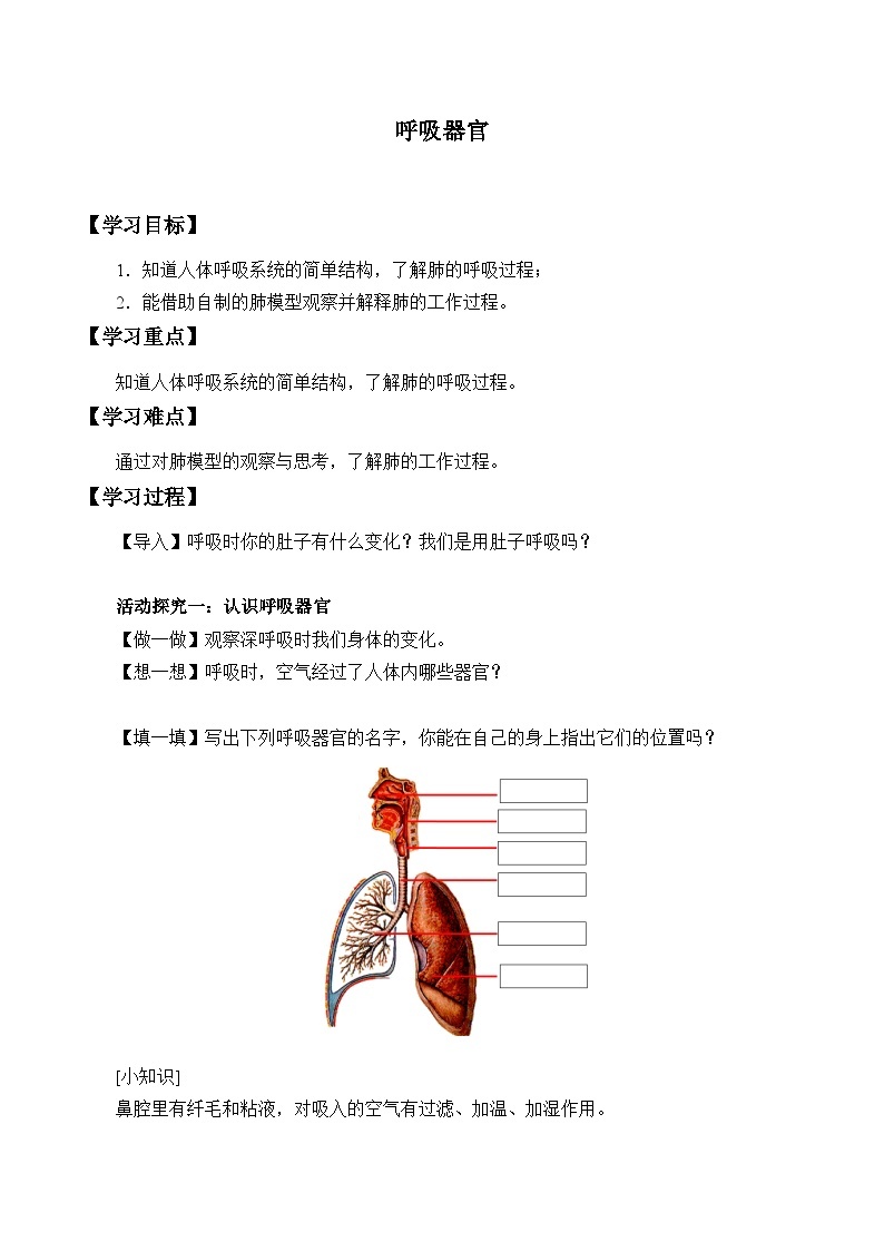 【同步学案】人教鄂教版科学三年级上册--4.13.呼吸器官 学案（含部分答案）01