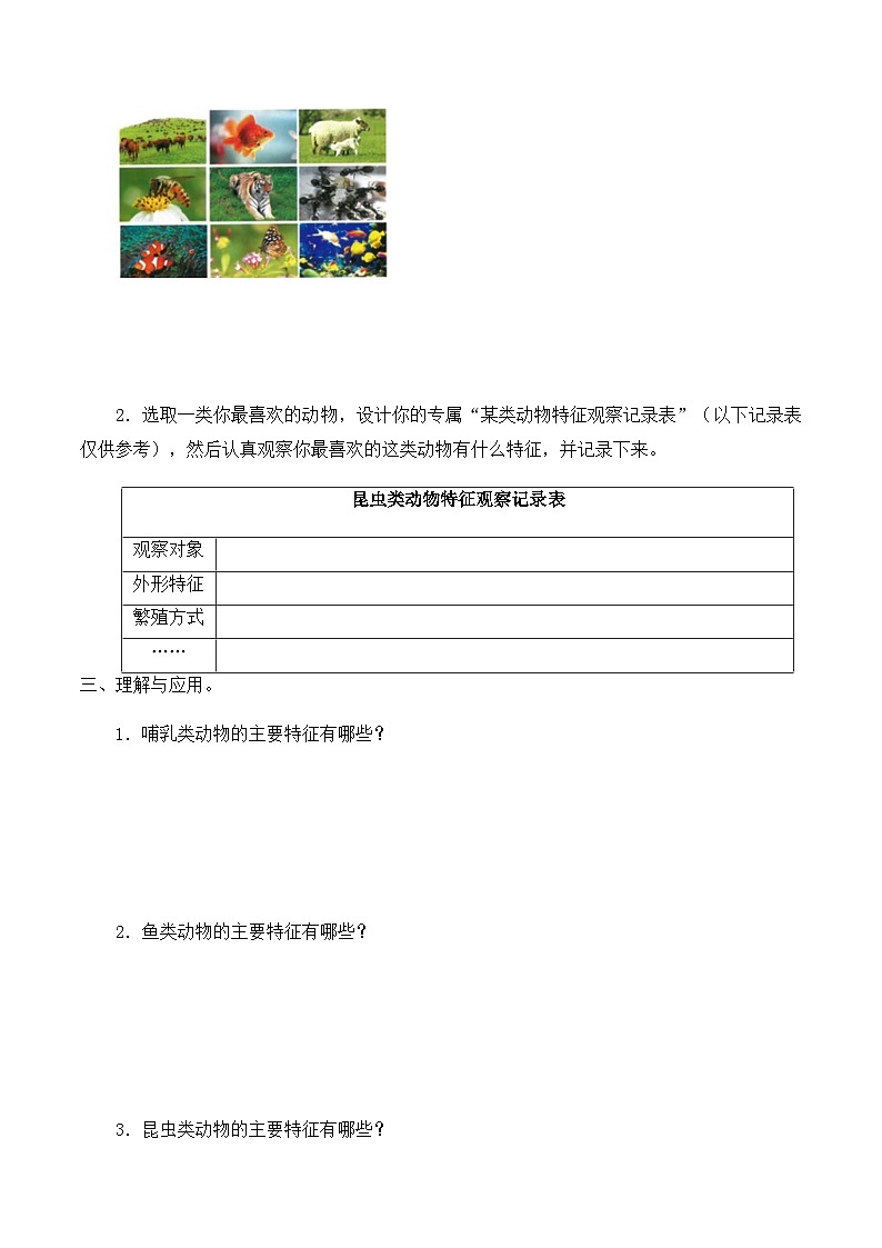 【同步导学案】大象版科学三年级上册--第二单元 3动物的分类 导学案第2页
