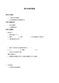 科学一年级上册植物优秀精练