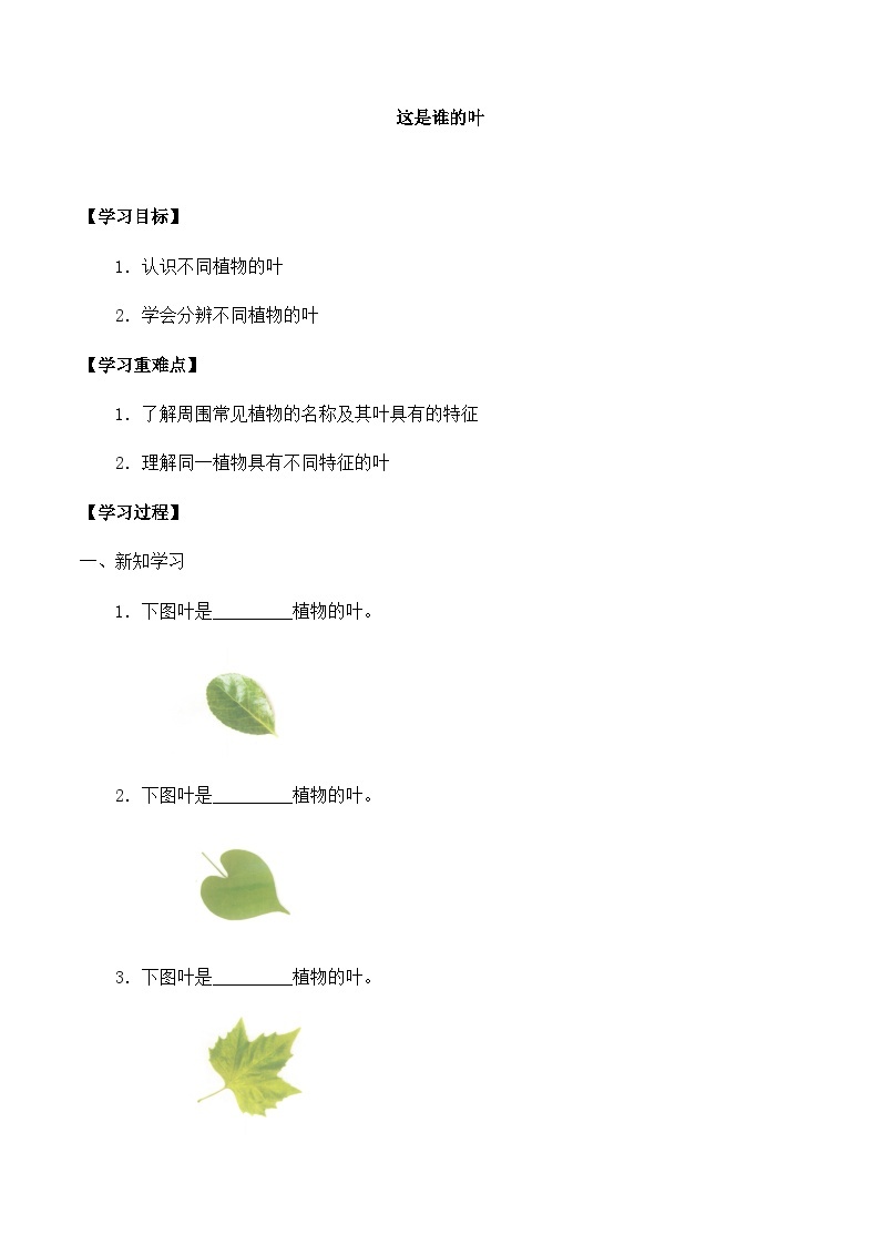 【同步导学案】教科版科学一年级上册-第一单元：4这是谁的叶-导学案01