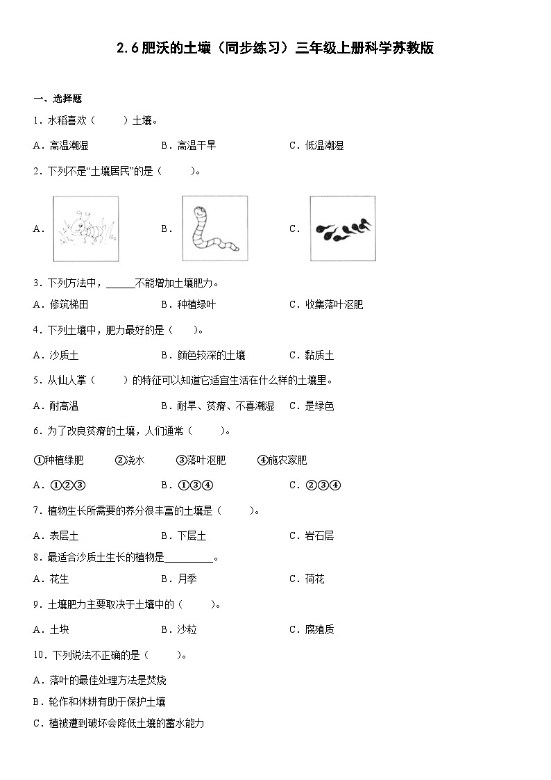 【同步练习】苏教版(2017)科学三年级上册--2.6肥沃的土壤  练习（含答案）01