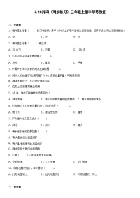 科学三年级上册14 海洋精品课时作业