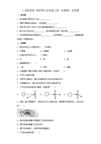 科学3 光的反射优秀课后测评