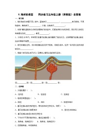 小学科学苏教版 (2017)五年级上册9 地球的表面精品同步训练题