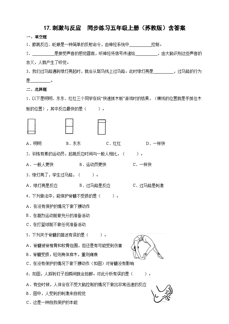 【同步练习】苏教版(2017)科学五年级上册--4.17刺激与反应  同步练习（含答案）01