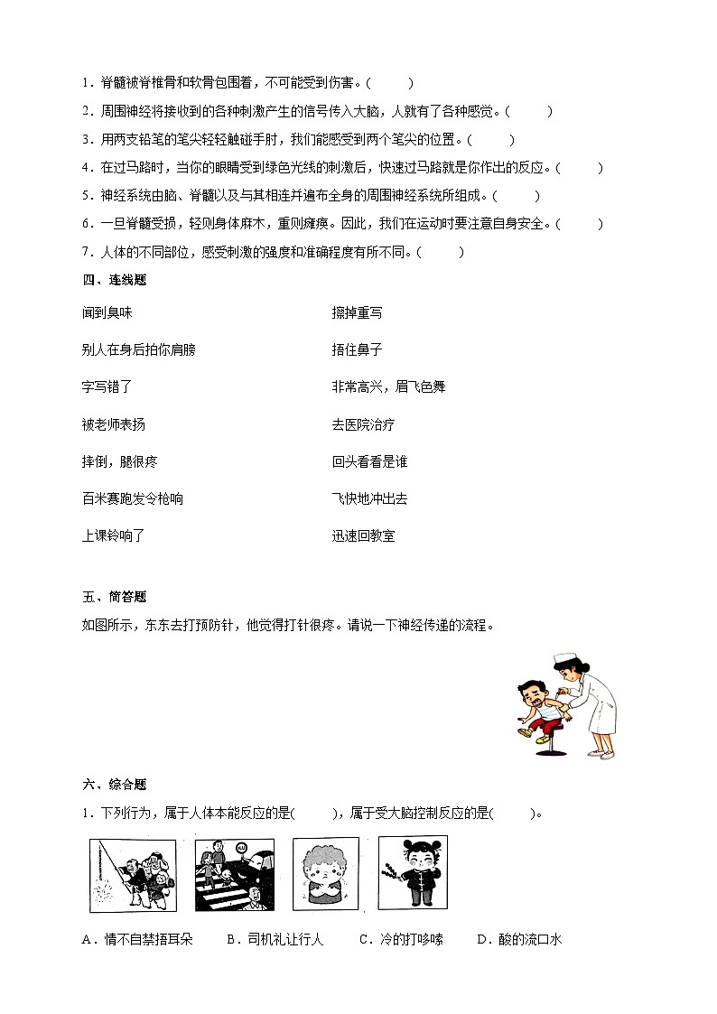 【同步练习】苏教版(2017)科学五年级上册--4.18从刺激到反应  同步练习（含答案）第2页