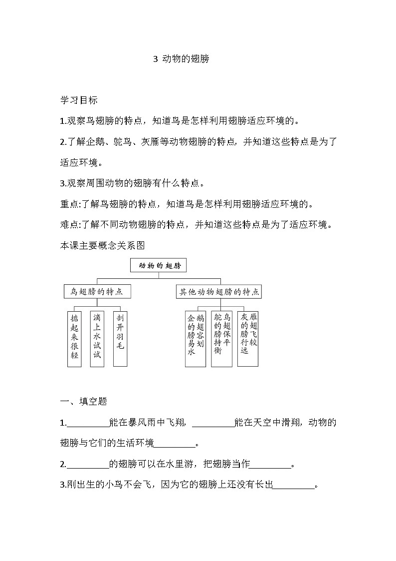 青岛版（六三制）科学三年级上册3 动物的翅膀 练习（含答案）第1页