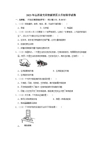 2023年山西省大同市新荣区小升初科学试卷（文字版含答案解析）