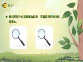 1.2 怎样放得更大（课件）-2022-2023学年六年级科学上册同步备课（教科版）