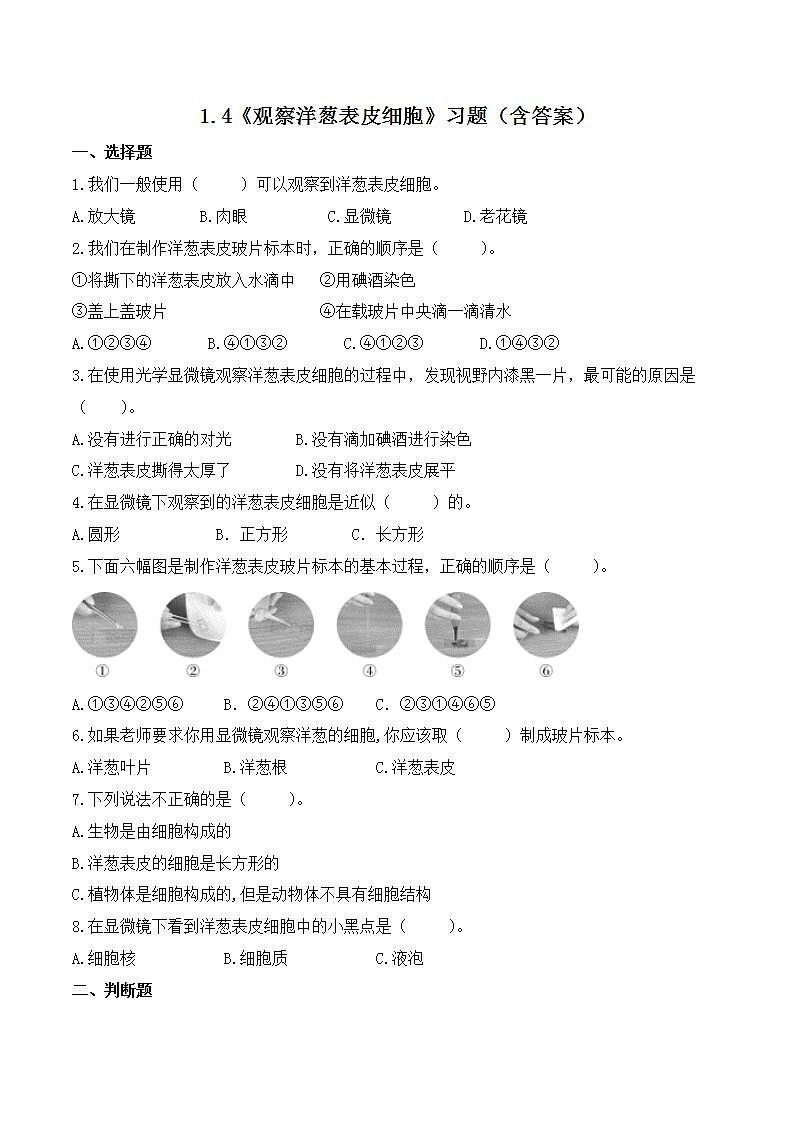 1.4 观察洋葱表皮细胞（练习）-2022-2023学年六年级科学上册同步备课（教科版）01