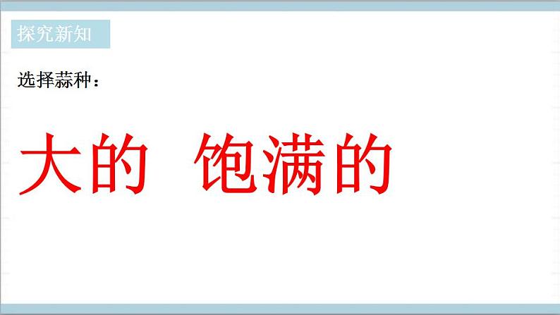 青岛版（六三制2017秋）科学二年级上册《9.种大蒜》（课件）04