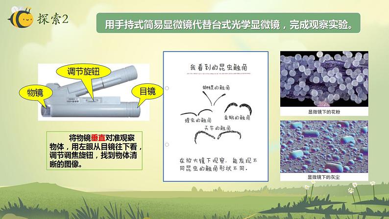 1.3 观察身边的微小物体（课件）-2022-2023学年六年级科学上册同步备课（教科版）06