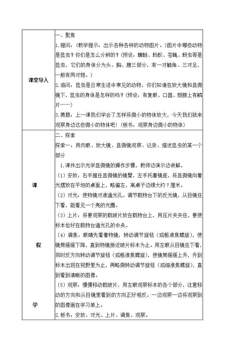 1.3 观察身边的微小物体（教案）-2022-2023学年六年级科学上册同步备课（教科版）02