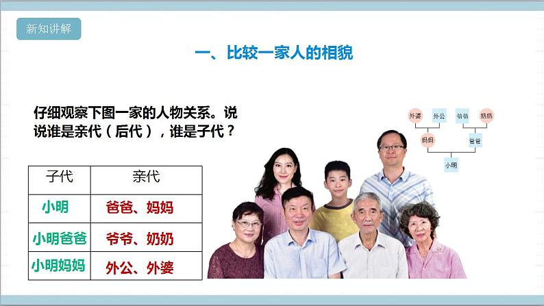 【核心素养】人教鄂教版科学五上 2.5《孩子与父母》课件+教案+分层练习（含答案）07