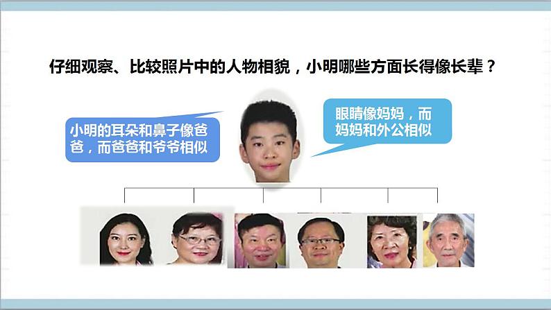 【核心素养】人教鄂教版科学五上 2.5《孩子与父母》课件+教案+分层练习（含答案）08