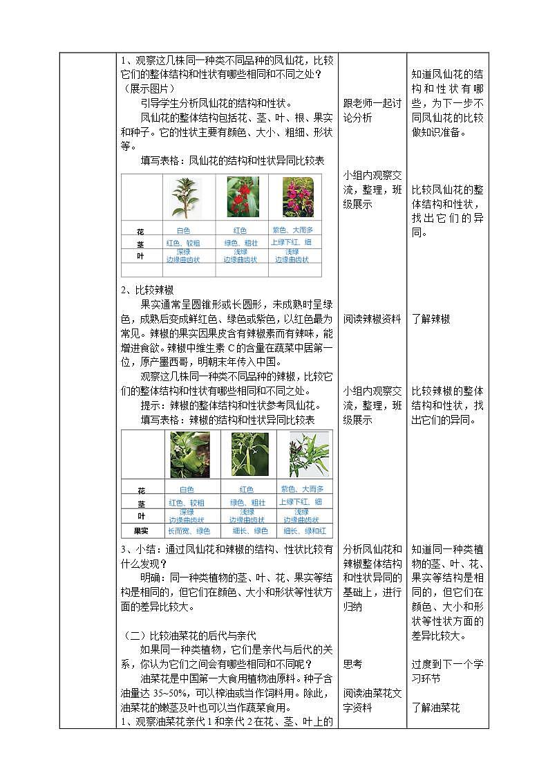 【核心素养】人教鄂教版科学五上 2.6《植物的后代与亲代》课件+教案+分层练习（含答案）+素材02