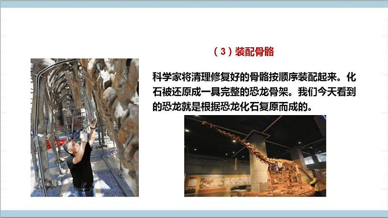 【核心素养】人教鄂教版科学五上 2.7《灭绝的远古动物》课件+教案+分层练习（含答案）07
