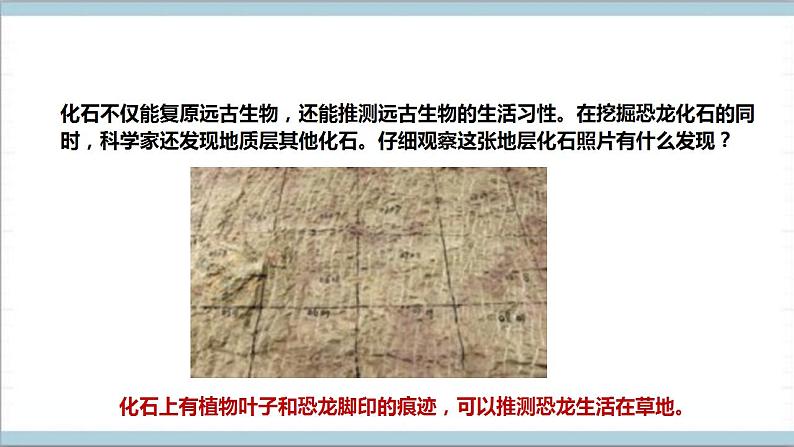 【核心素养】人教鄂教版科学五上 2.7《灭绝的远古动物》课件+教案+分层练习（含答案）08