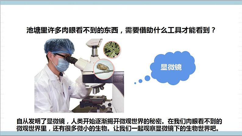 【核心素养】人教鄂教版科学五上 3.8《水中的微小生物》课件+教案+分层练习（含答案）+素材04