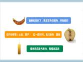 【核心素养】人教鄂教版科学六上 1.1《生锈与防锈》课件+教案+课件+教案+分层练习（含答案）