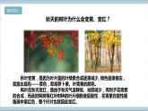 【核心素养】人教鄂教版科学六上 1.3《颜色变化》课件+教案+分层练习（含答案）