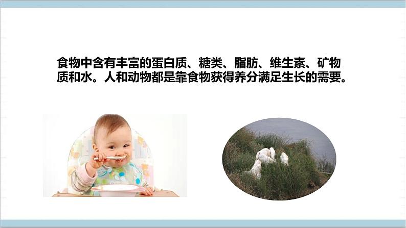 【核心素养】人教鄂教版科学六上 2.5《植物的光合作用》课件+教案+分层练习（含答案）04