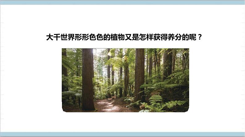 【核心素养】人教鄂教版科学六上 2.5《植物的光合作用》课件+教案+分层练习（含答案）05