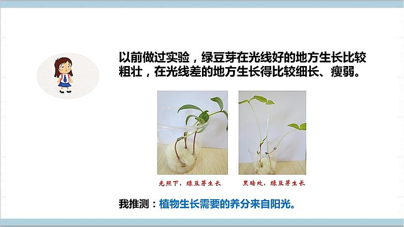 【核心素养】人教鄂教版科学六上 2.5《植物的光合作用》课件+教案+分层练习（含答案）07