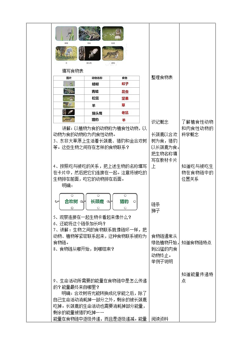 【核心素养】人教鄂教版科学六上 2.6《食物链》课件+教案+分层练习（含答案）02