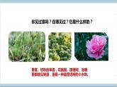 【核心素养】人教鄂教版科学六上 3.9《露和霜》课件+教案+分层练习（含答案）