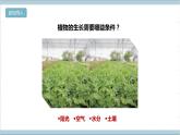 【核心素养】人教鄂教版科学六上 5.16《走进植物工厂》课件+教案+分层练习（含答案）