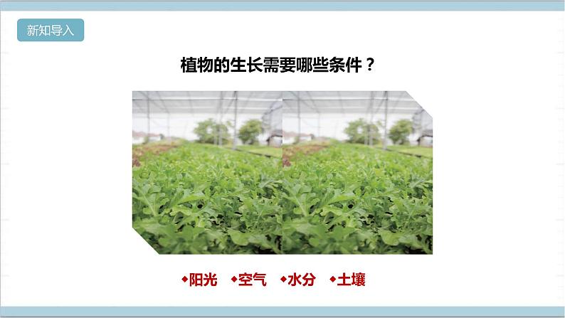 【核心素养】人教鄂教版科学六上 5.16《走进植物工厂》课件+教案+分层练习（含答案）03