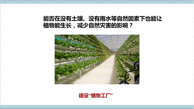 【核心素养】人教鄂教版科学六上 5.16《走进植物工厂》课件+教案+分层练习（含答案）05