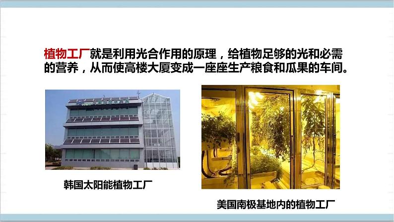 【核心素养】人教鄂教版科学六上 5.16《走进植物工厂》课件+教案+分层练习（含答案）06