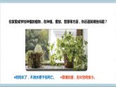 【核心素養(yǎng)】人教鄂教版科學(xué)六上 5.17《設(shè)計(jì)與建造“植物工廠”》課件+教案+分層練習(xí)（含答案）